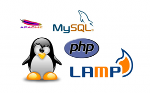 CentOS and RHEL 7: Install Linux, Apache, MariaDB, PHP (LAMP)