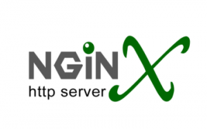 HowTo: Use Nginx As Reverse Proxy Server