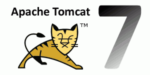 Check / Determine Your Version of Tomcat and Java